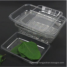 Pet Clear Plastic Compartment Take Away Salad Food Container Tray 2